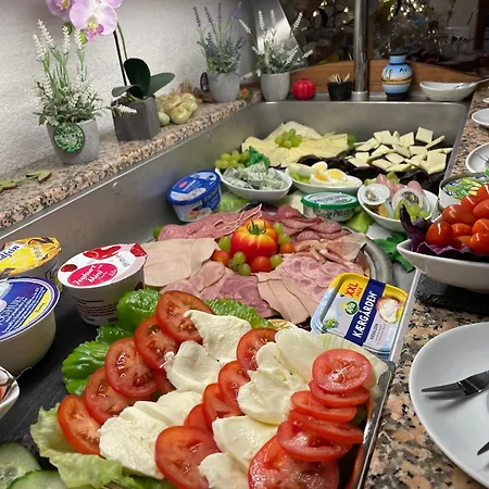 Avenue Gaestehaus * קמניץ